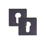 Ключевая накладка FD PALIDORE CWS BH Никель черный